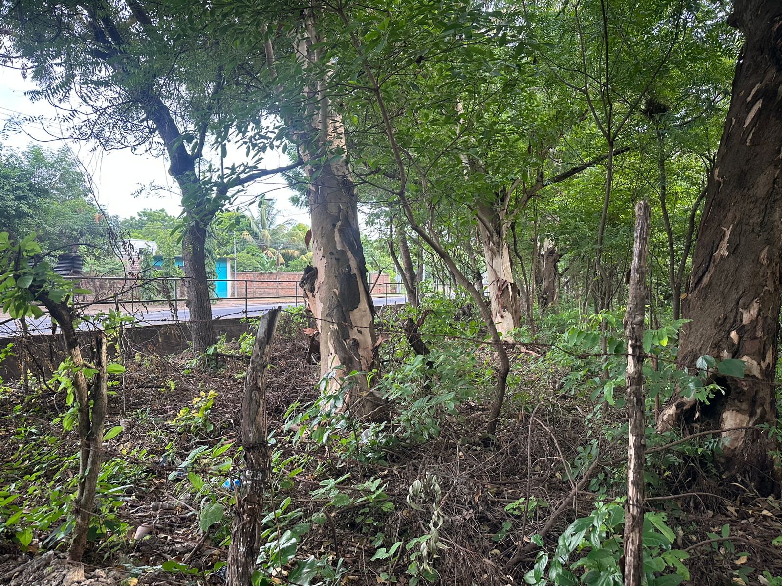 Vista adicional